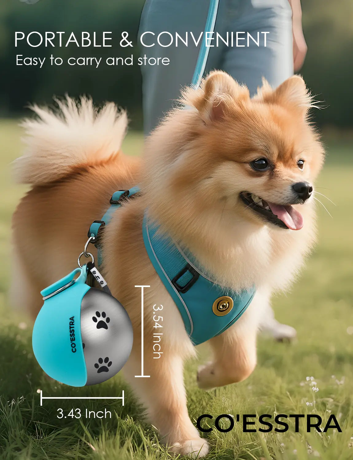Stainless Steel Pet Water Bottle with Integrated Drinking Basin - 285ml Leak-Proof Travel Solution for Dogs and Cats, Ideal for Walks, Road Trips, and Outdoor Activities